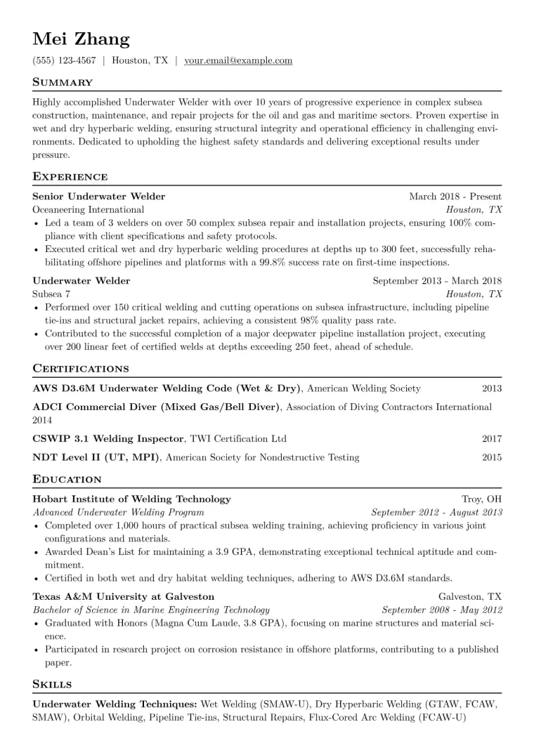 Underwater Welder Resume Example CV template preview