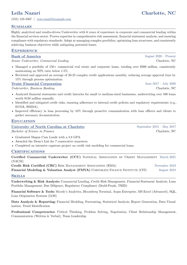 Underwriter Resume Example CV template preview