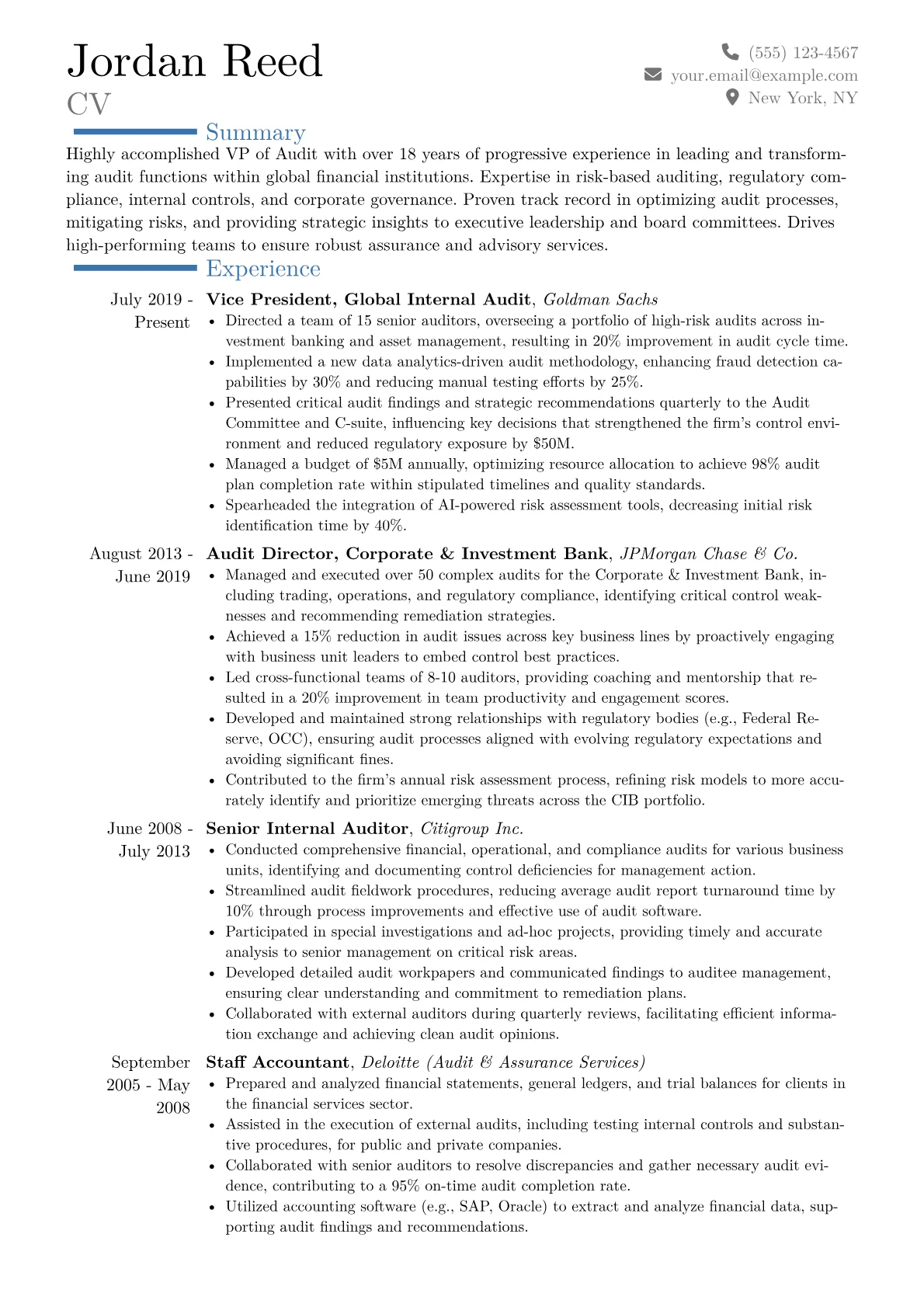 VP of Audit Resume Example CV template - Page 1