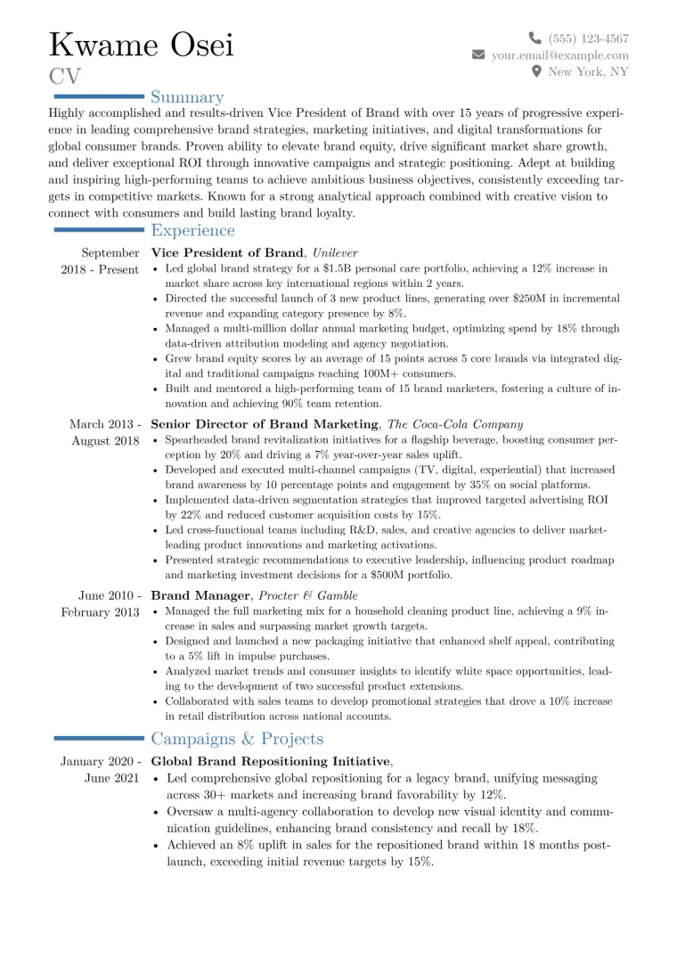 VP of Brand Resume Example CV template preview