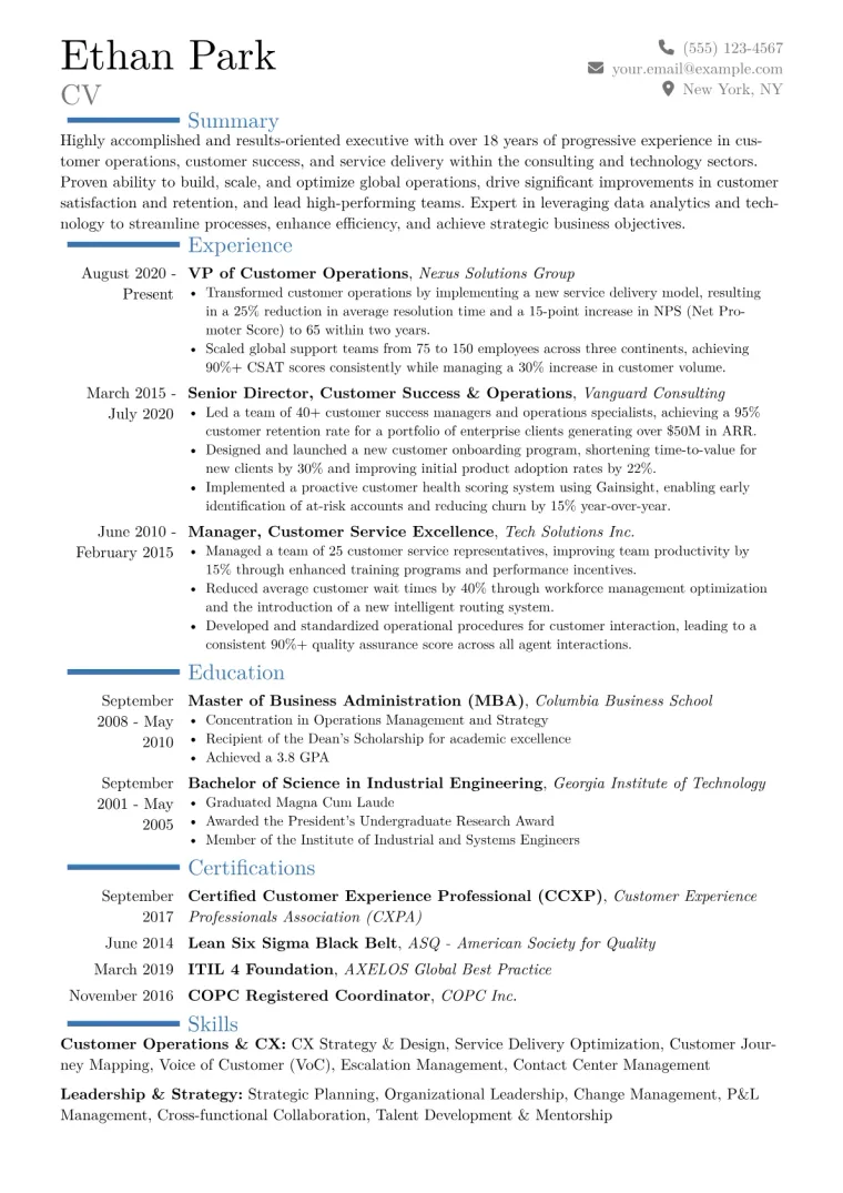 VP of Customer Operations Resume Example CV template preview