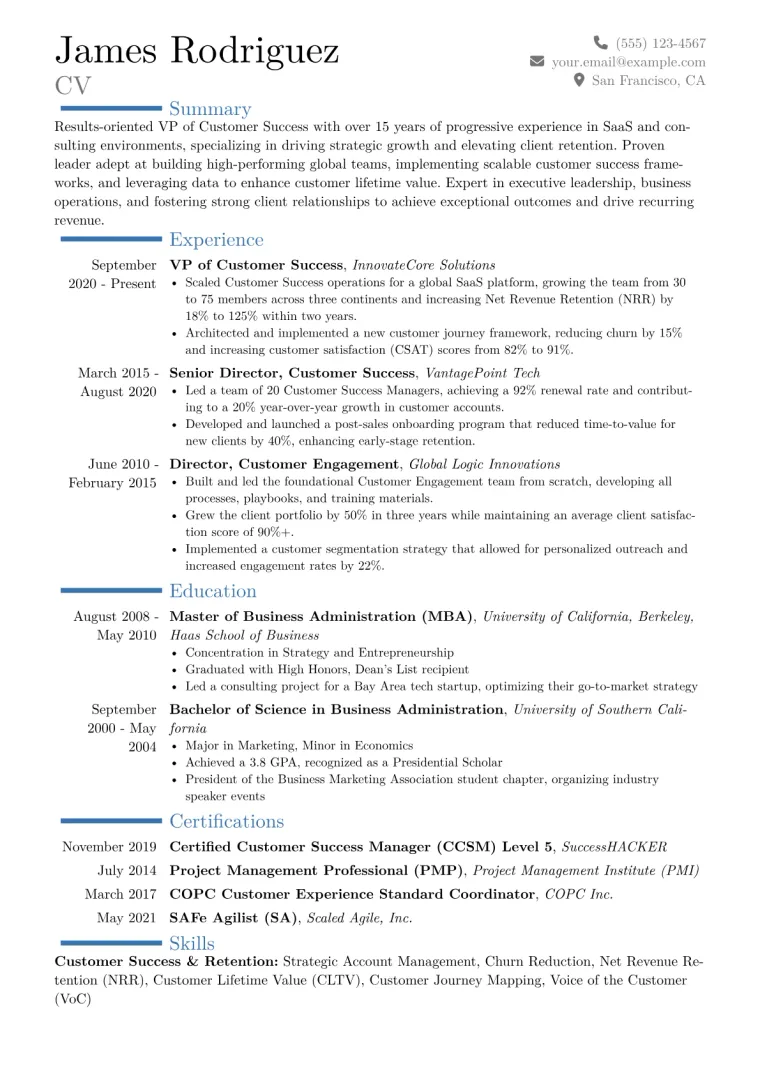 VP of Customer Success Resume Example CV template preview