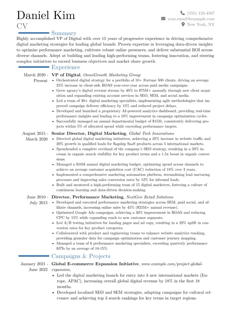 VP of Digital Resume Example CV template preview