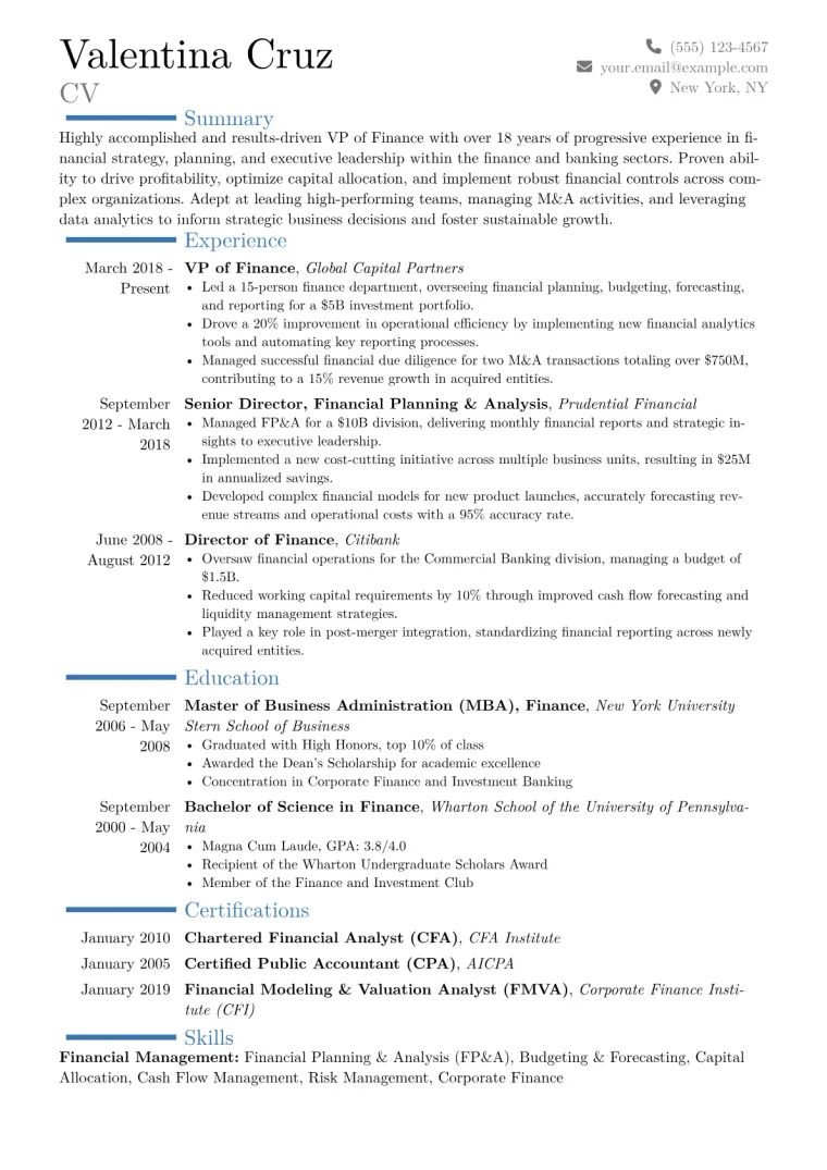 VP of Finance Resume Example CV template preview