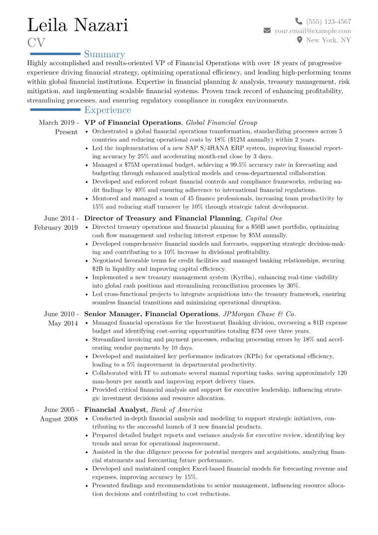 VP of Financial Operations Resume Example CV template preview