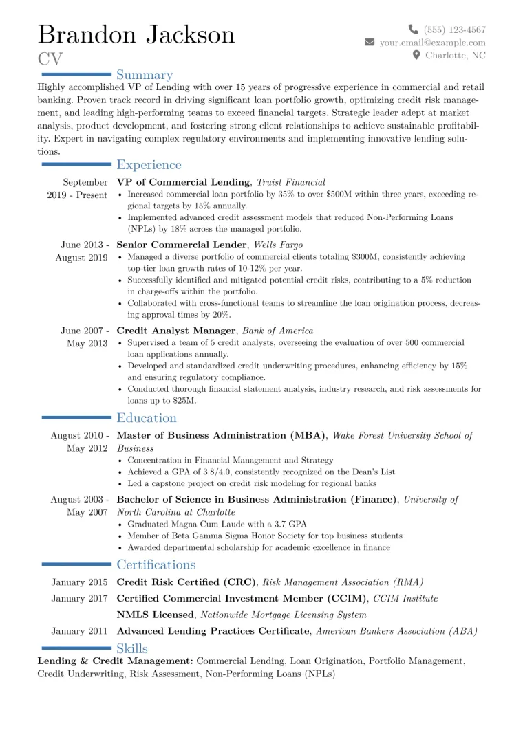 VP of Lending Resume Example CV template preview