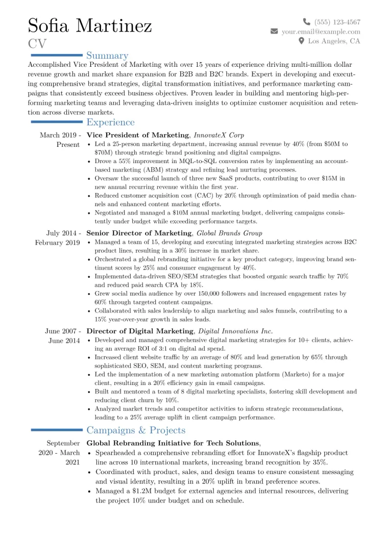 VP of Marketing Resume Example CV template preview
