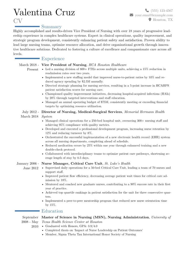 VP of Nursing Resume Example CV template preview