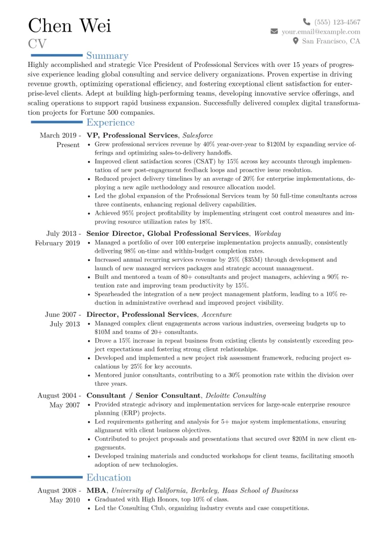 VP of Professional Services Resume Example CV template preview