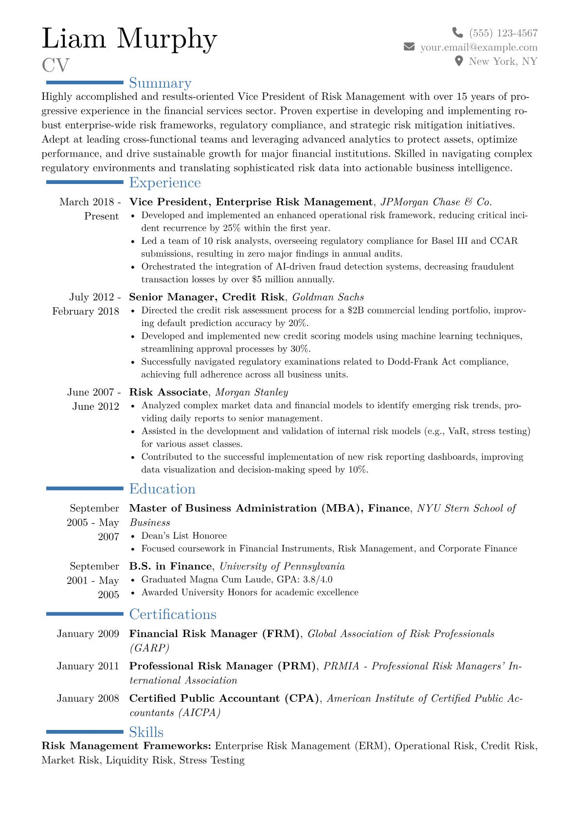VP of Risk Management Resume Example CV template - Page 1
