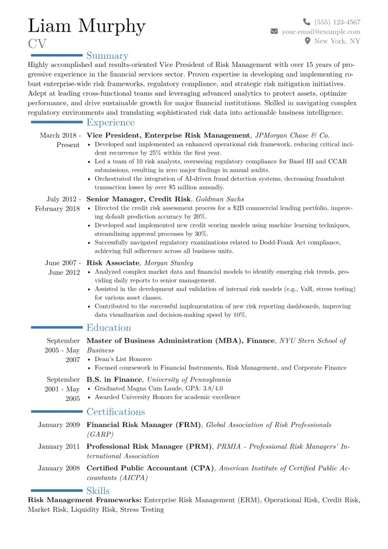VP of Risk Management Resume Example CV template preview