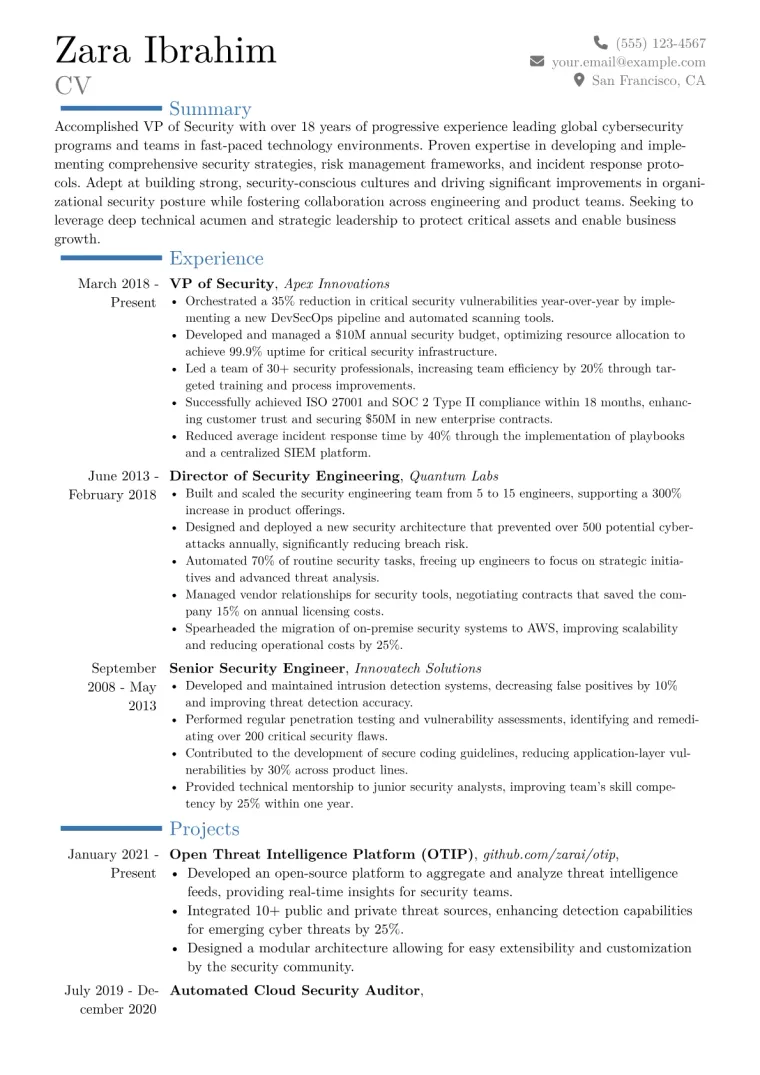 VP of Security Resume Example CV template preview