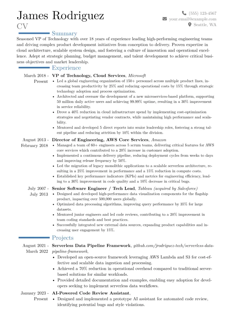 VP of Technology Resume Example CV template preview