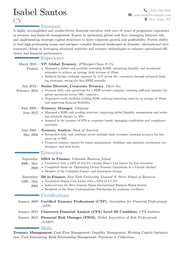 VP of Treasury Resume Example CV template preview
