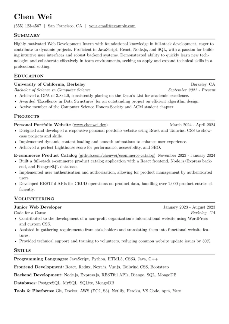 Web Development Intern Resume Example CV template preview